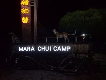 Mara Chui Camp Hotel Ololaimutiek Buitenkant foto